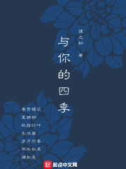 啊肥阿作品
