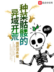 大唐小说