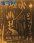 进入梦里超级肉禽系统的