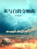 午夜dj免费视频观看在线播放