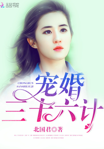 电影《桥》免费完整版播放