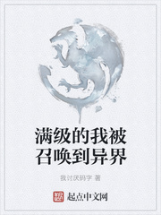 大姨子小说