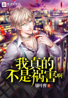 云顶之弈S4