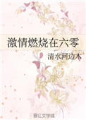 欧美videos