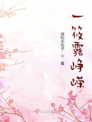 吞天记