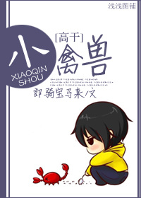 菲梦少女第一季免费观看