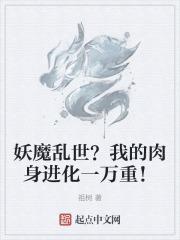 极品家丁萧夫人