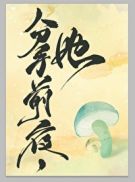 快穿金牌女配逆袭之扑倒男主