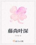 换装小游戏大全
