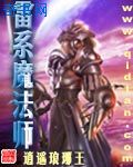仕途登顶的小说