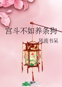 下一站是幸福电视剧全集免费观看