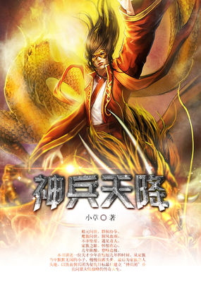 不可撤销完整版