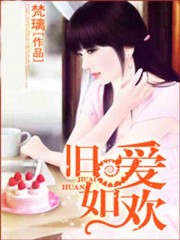 查理九世小说