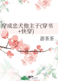 美国人在线观看电视剧