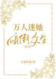 猫扑两性网