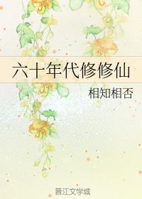 夏家三千金41到80集免费观看