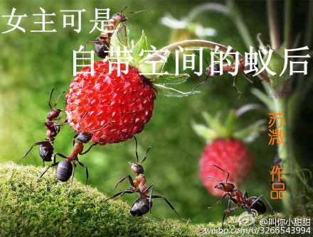 扎心老铁被屏蔽了最新地址