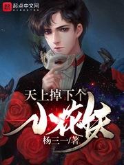 丑闻夫人