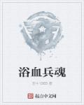 小天仙下载