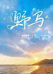 沙漠风暴下载