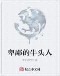 花开美利坚