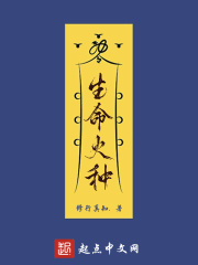 变形金刚之大黄蜂