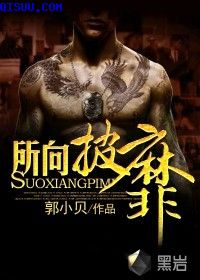 美图拍拍电脑版下载