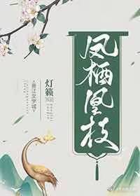 全职高手动漫在线观看