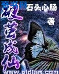 叶九州叶不悔谢雨柔免费阅读