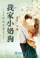 单身部落在线观看