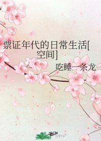 大片免费播放网站完整版