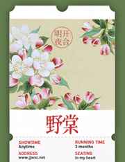 爱青岛官网