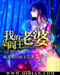 神马视频理在线观看