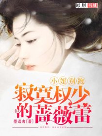 进入省长夫人的花蕊