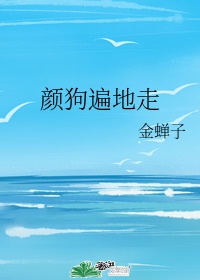 风月大陆叶天龙无删版