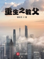 言教授轻轻撞