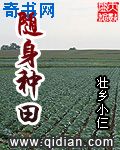 唐时聿江诺