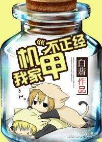 亮剑之铁血苍狼