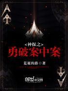 强轮警花小说全集