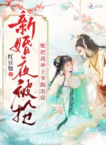 空姐王静全文阅读目录
