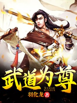 海贼王乔巴的请求罗宾