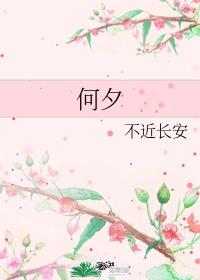动物性行为马
