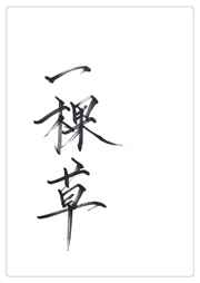 时间停止器系列种子