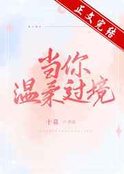 贾宝玉车内玩平儿第六回