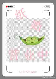 双性v文