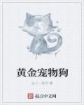 赤子乘龙