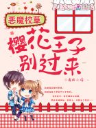 碧血青天杨家将
