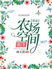 情趣超市龟甲