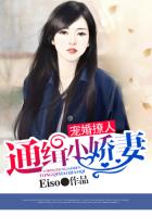 我的极品小胰叶凡