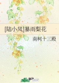 蜘蛛格温本子